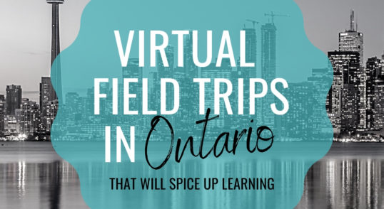 kids virtual field trips